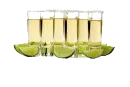 tequilax