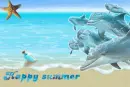 dolphin summer