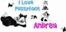 I love Pussyfoot