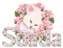 Glitter Name>>Suada