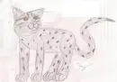 Rockpelt
