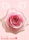 LOVELY ROSE