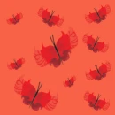 butterfly - motyl