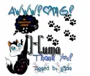Thank you Huma