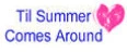 Til Summer Comes Around 