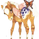 baby pony