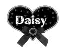 Stary Heart Daisy
