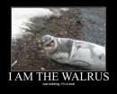 Just Kidding