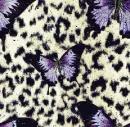 purple butterfly