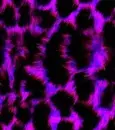 animal print bg