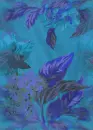 blue flowers bg