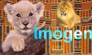 lion cub request