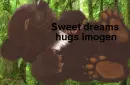 bear sleeping