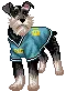 dressup dog 
