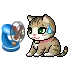 cute cat