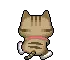 cute cat