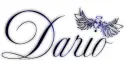 Dario blue wings
