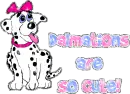 dalmation love