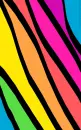 Colorful Zebra Stripes