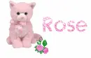 Pink Rose and kitty