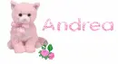 Pink Rose and kitty - Andrea