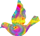 Rainbow Dove