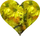 Wildflower Heart