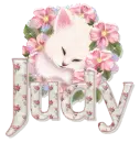Judy