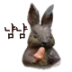 cute rabbit