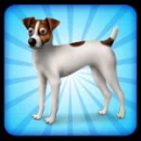 jack russell terrier avatar