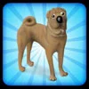 sharpei avatar