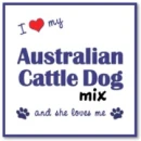 i love my australian cattle dog mix and she loves me