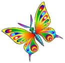 Rainbow Butterfly