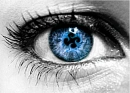 Eye