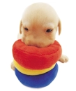 lab puppy