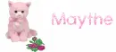 Pink Rose and kitty -Maythe