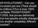 Mr evolutionist