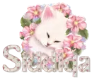 Siddiqa