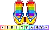 Flip Flops Blinkie -Brittany-