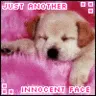 Just Another Innocent Face