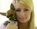 Paris Hilton