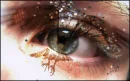 glittereye