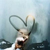 fog heart