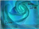 love, rose, blue rose
