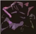 rose, dark rose, black rose, emo rose