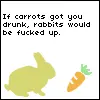 carrots and rabits