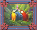 3 parrots
