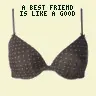 A best friend is Like a Bra...
