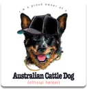 cattle dog