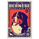 bernese mountain dog